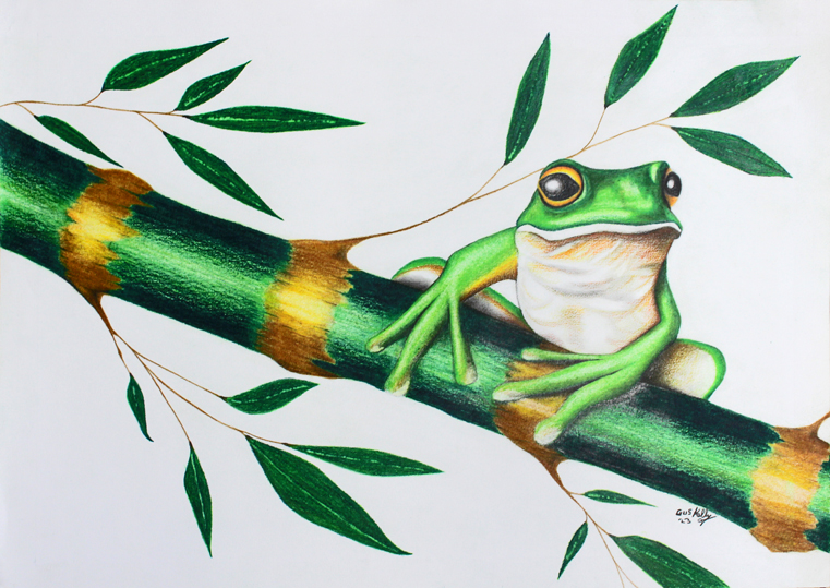 Gus Kelly - Green Tree Frog - for website 020423